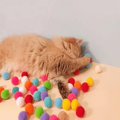🐱 50% OFF! ✨ Plush Ball Shooting Gun for Cats – Easy Load & Shoot Design, High-Elastic Yarn Balls & Interactive Play – Strengthen Bond & Boost Your Cat's Happiness 🎯