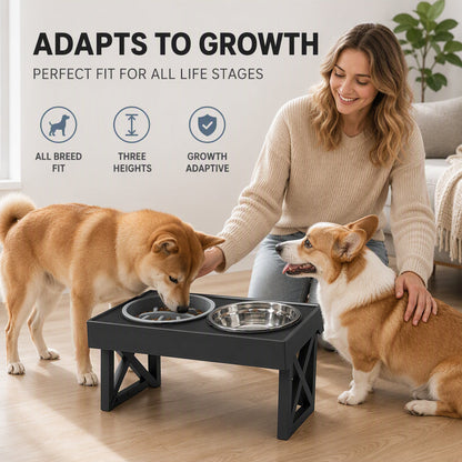 Elevated Dog Bowls with Slow Feeder & Stainless Steel Bowls