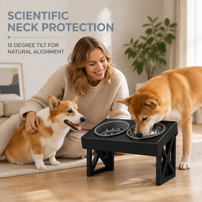 Elevated Dog Bowls with Slow Feeder & Stainless Steel Bowls