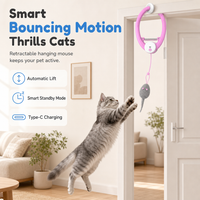 Automatic Hanging Toy with Door Frame Clip Electric Bouncing Mouse Interactive Toy for Pets