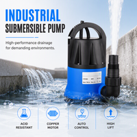 450W Electric Submersible Clean Water Pump for Garden Irrigation and Drainage