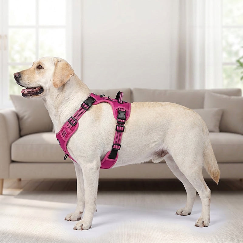 🐕 50% OFF! ✨ Outdoor Heavy-Duty Dog Vest Harness – Ergonomic No-Pull Chest Design, Multi-Point Adjustment & Breathable Mesh Lining – Climbing-Grade Buckles with Control Handle for Safe Walks 🦮