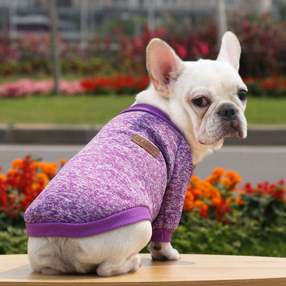 Knitted Dog Hoodie for Autumn and Winter