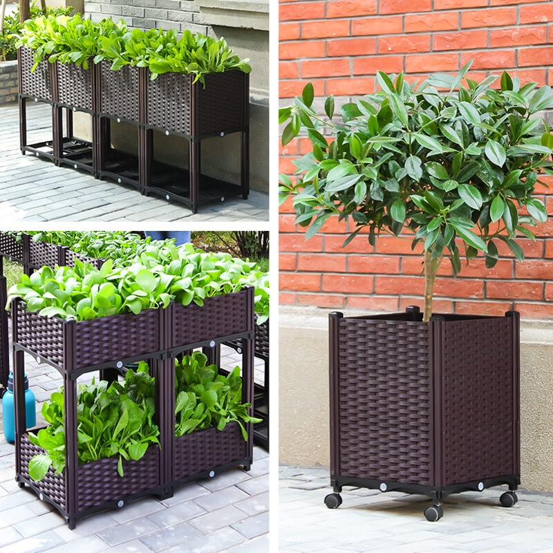 🔥Free Shipping🔥Multifunctional Vegetable Planting Box（50% OFF）