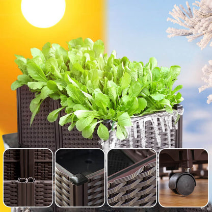 🔥Free Shipping🔥Multifunctional Vegetable Planting Box（50% OFF）