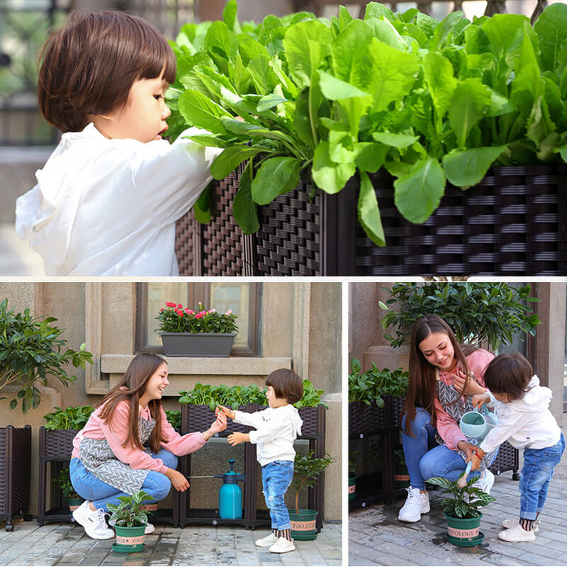 🔥Free Shipping🔥Multifunctional Vegetable Planting Box（50% OFF）