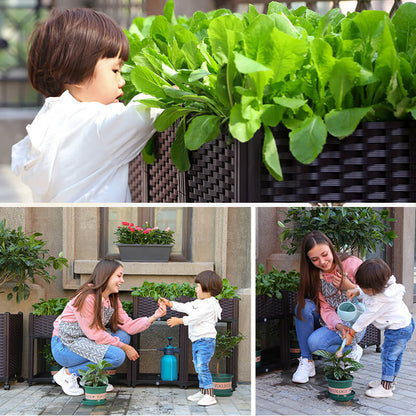 🔥Free Shipping🔥Multifunctional Vegetable Planting Box（50% OFF）