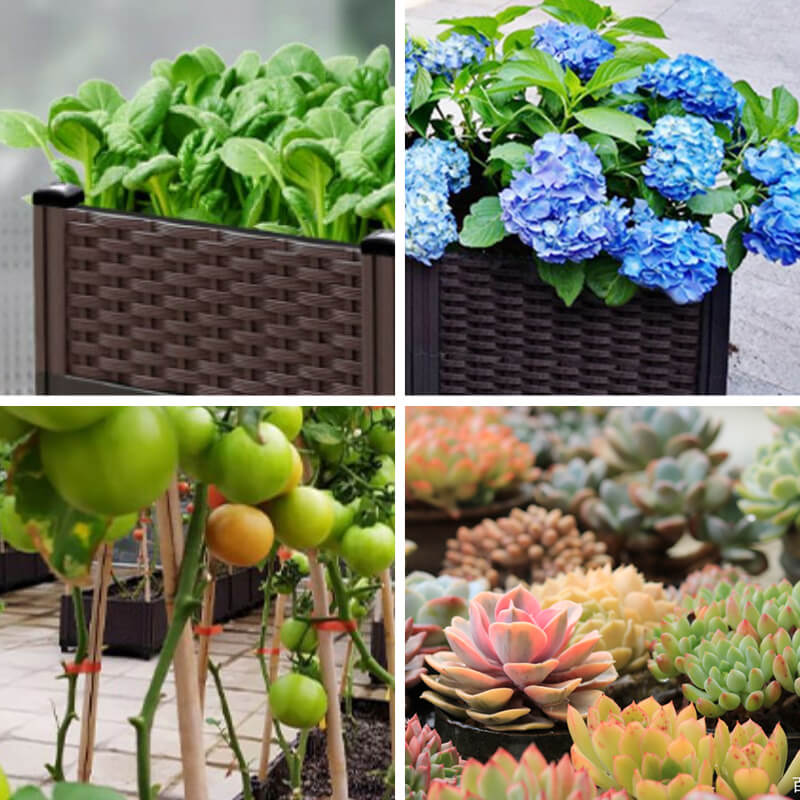 Multifunctional Vegetable Planting Box（Free Shipping）