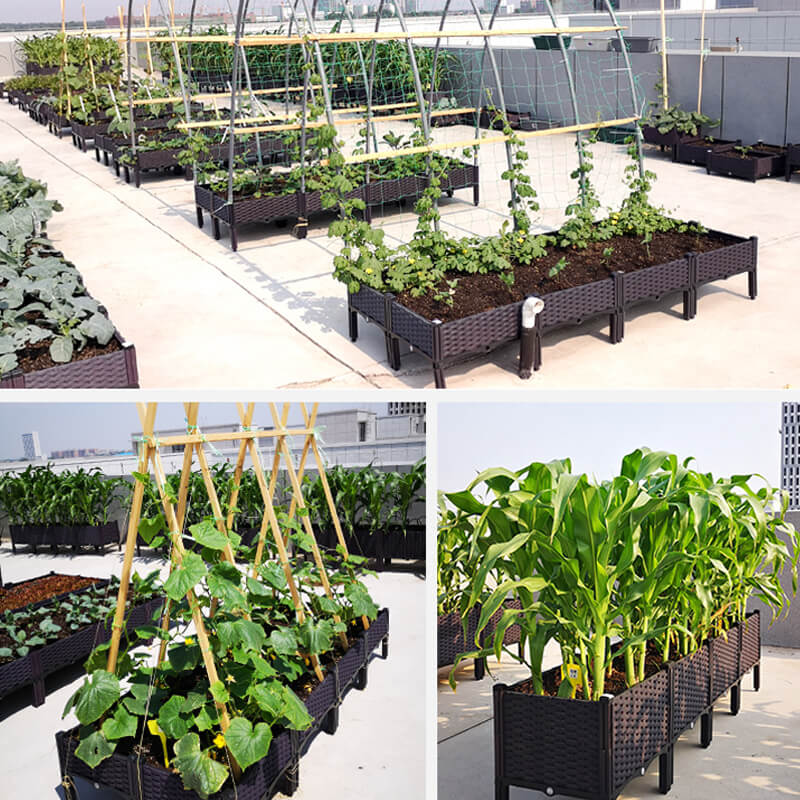 🔥Free Shipping🔥Multifunctional Vegetable Planting Box（50% OFF）