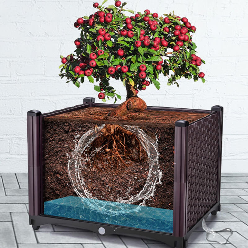 🔥Free Shipping🔥Multifunctional Vegetable Planting Box（50% OFF）