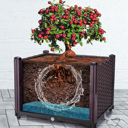 🔥Free Shipping🔥Multifunctional Vegetable Planting Box（50% OFF）