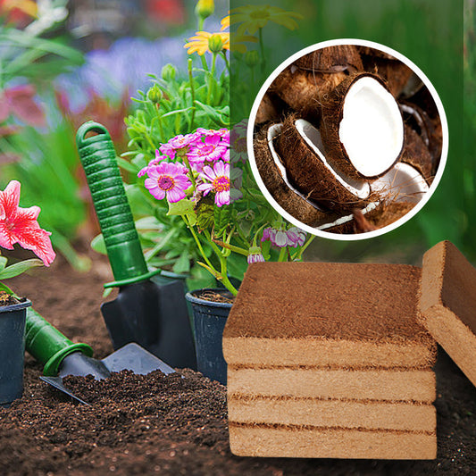 🔥New Product🔥Organic Coconut Coir for Plants（50% OFF）