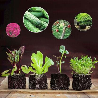 Pousbo® Soil Loosening Essence Soil Activator（50% OFF）