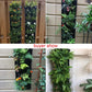 Garden Wall Planter Grow Bags for Indoor Outdoor（50% OFF）