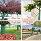 Special Gift - Tree Trunk Protector Gardening Wrap（50% OFF）
