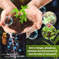 Plant Hair Root Growth Nutrition Powder（50% OFF）