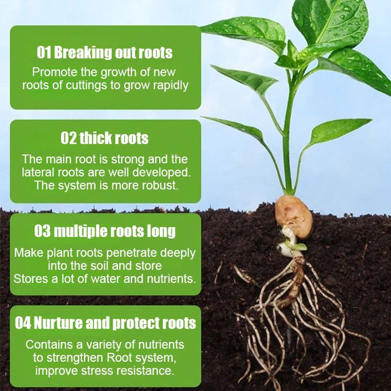 All-purpose Rooting Solution for All Plants（50% OFF）