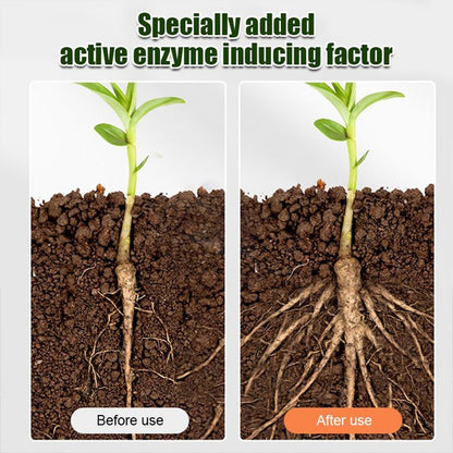 All-purpose Rooting Solution for All Plants（50% OFF）