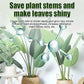 All-purpose Rooting Solution for All Plants（50% OFF）