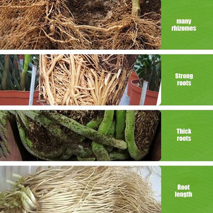 All-purpose Rooting Solution for All Plants（50% OFF）