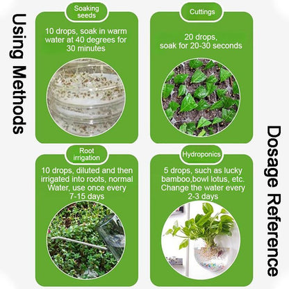 All-purpose Rooting Solution for All Plants（50% OFF）